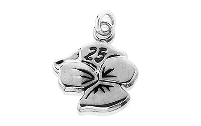 25 Year Charm Resized