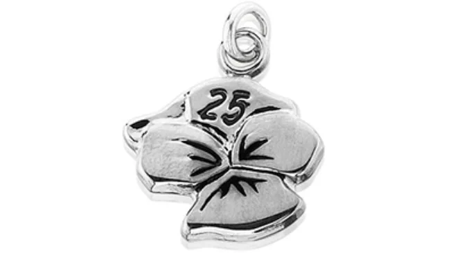 25 Year Charm Resized